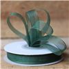 Order  Basics 2 Go Sheer Ribbon - 9mm Hunter